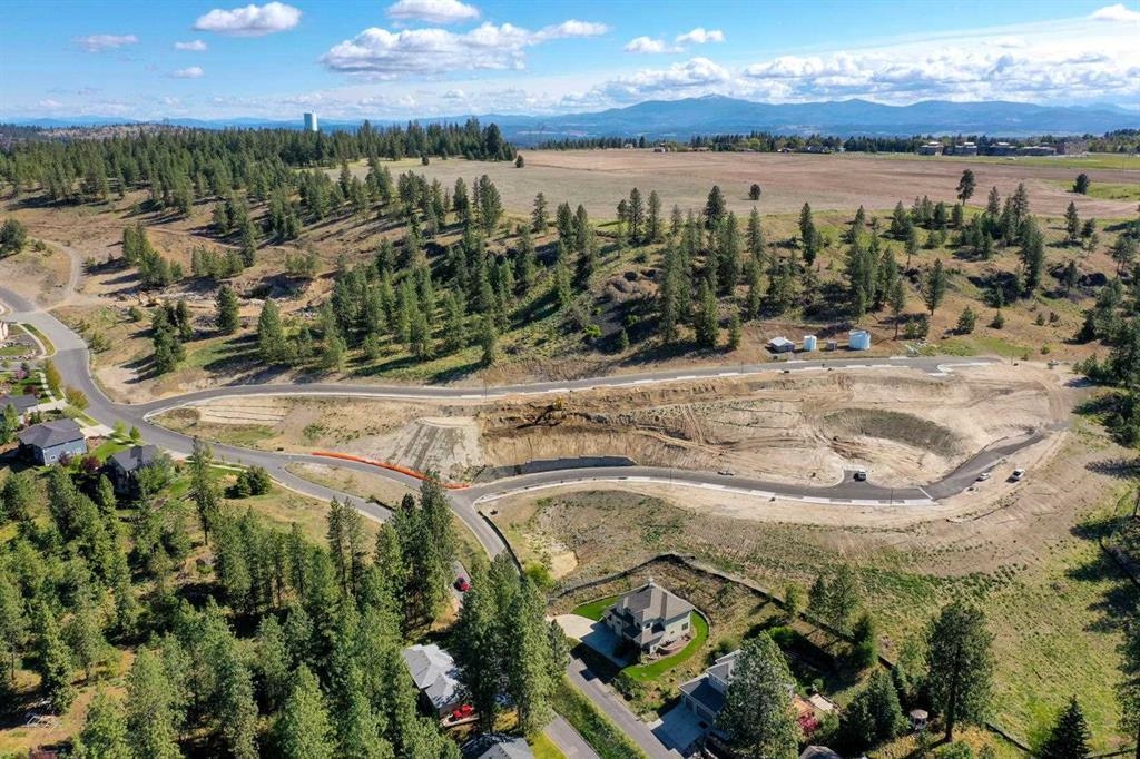 4209 West Bush Drive Spokane, WA 99208 - Photo 2 of 11