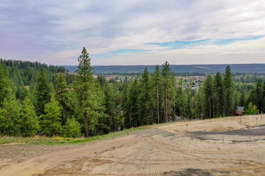 4209 West Bush Drive Spokane, WA 99208 - Photo 7 of 11