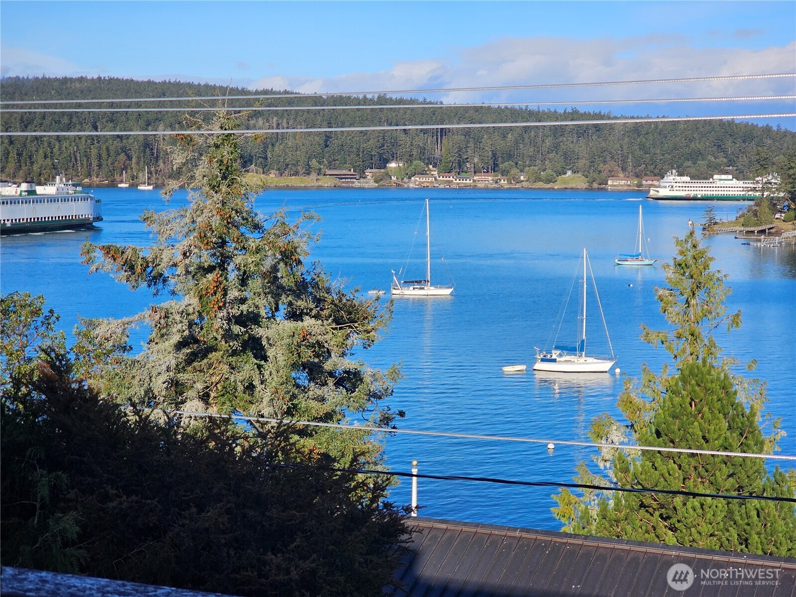 460 Harrison Street Friday Harbor, WA 98250 - Photo 20 of 31 a view of a lake with a mountain and a lake view