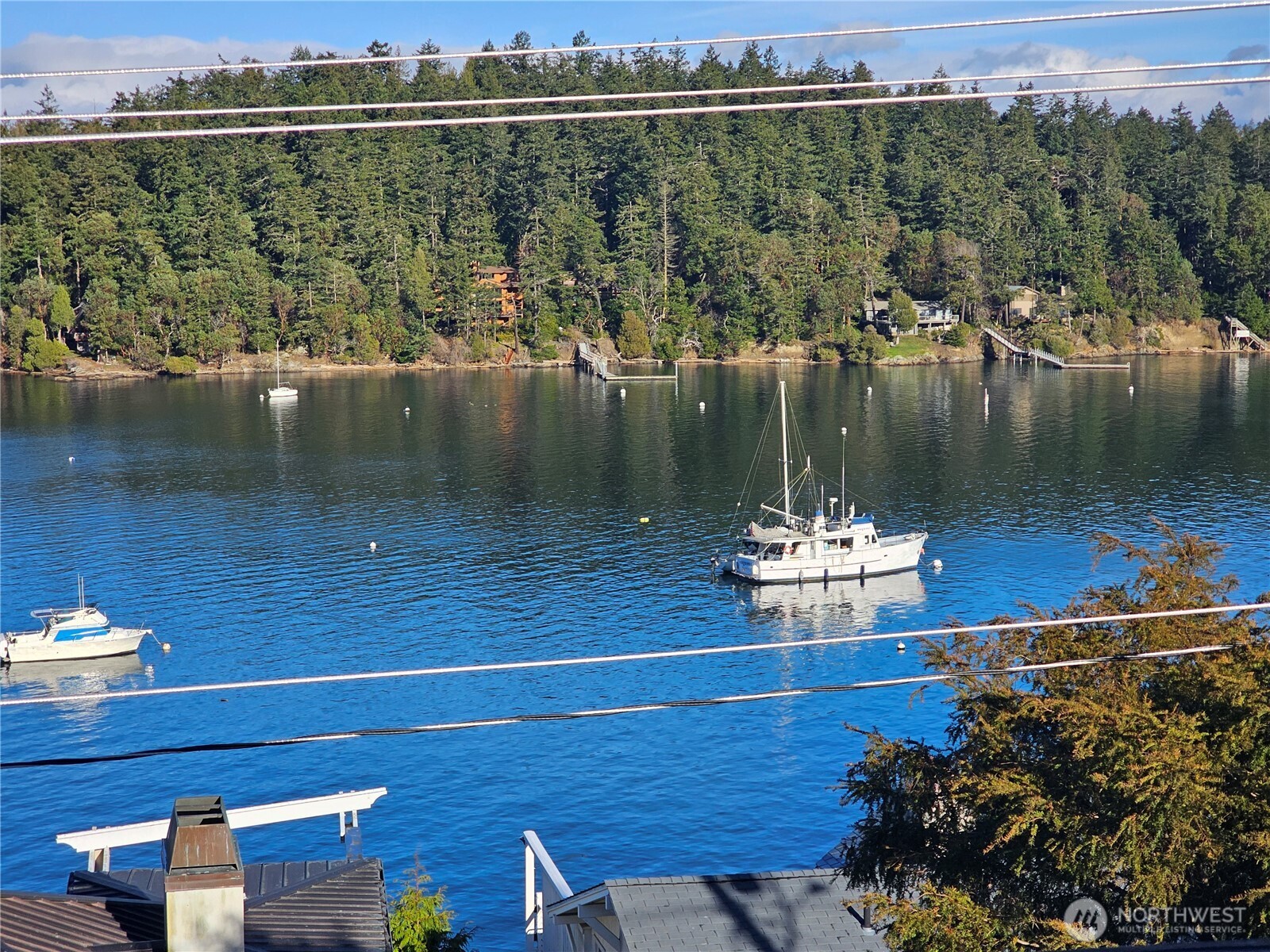 460 Harrison Street Friday Harbor, WA 98250 - Photo 21 of 31 a view of a lake with a mountain