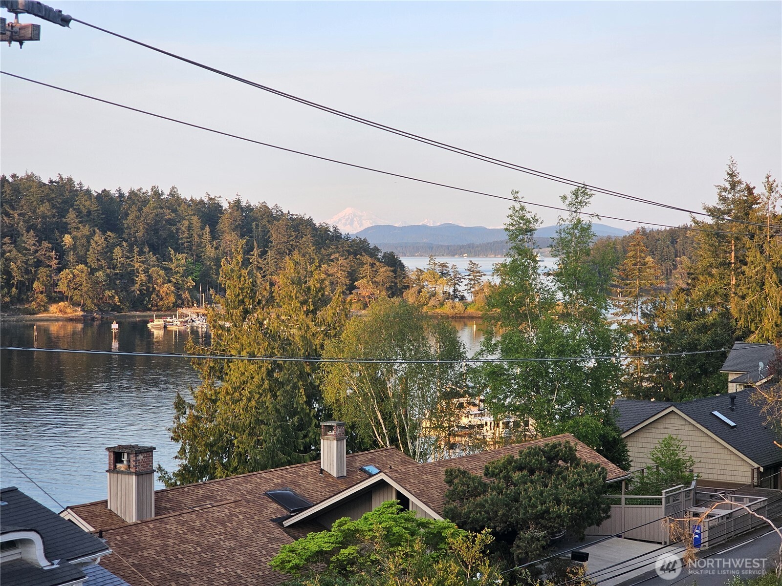 460 Harrison Street Friday Harbor, WA 98250 - Photo 28 of 31 a view of a garden with a mountain