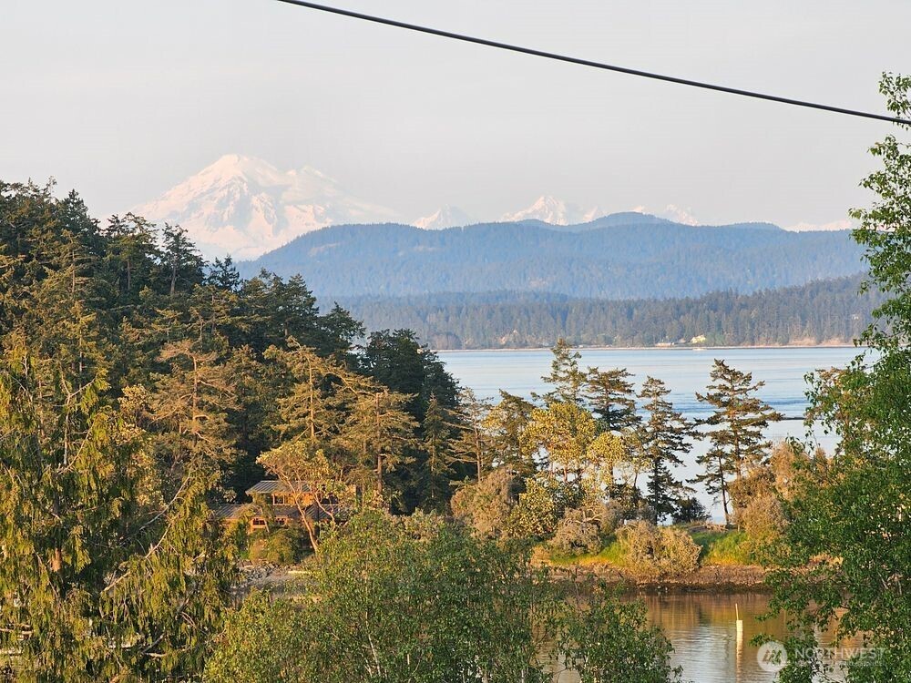 460 Harrison Street Friday Harbor, WA 98250 - Photo 3 of 3