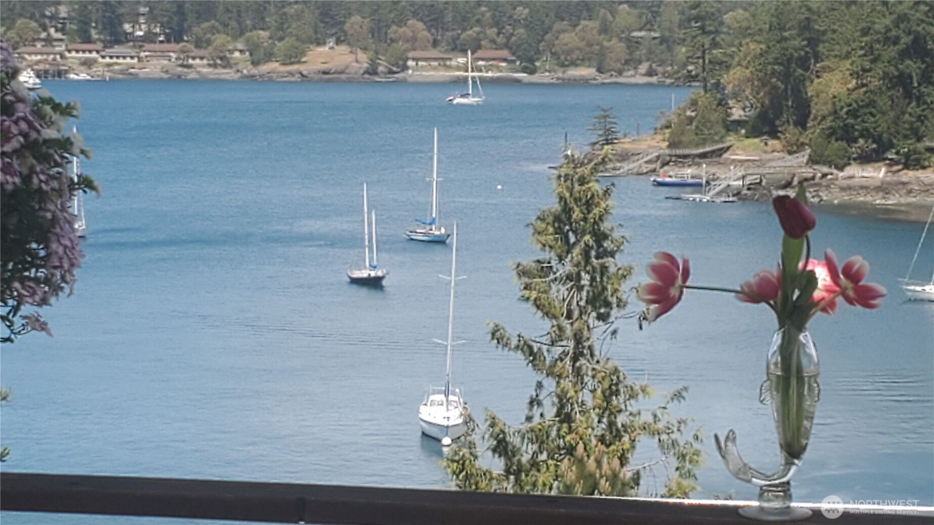 460 Harrison Street Friday Harbor, WA 98250 - Photo 10 of 31 a view of a outdoor space