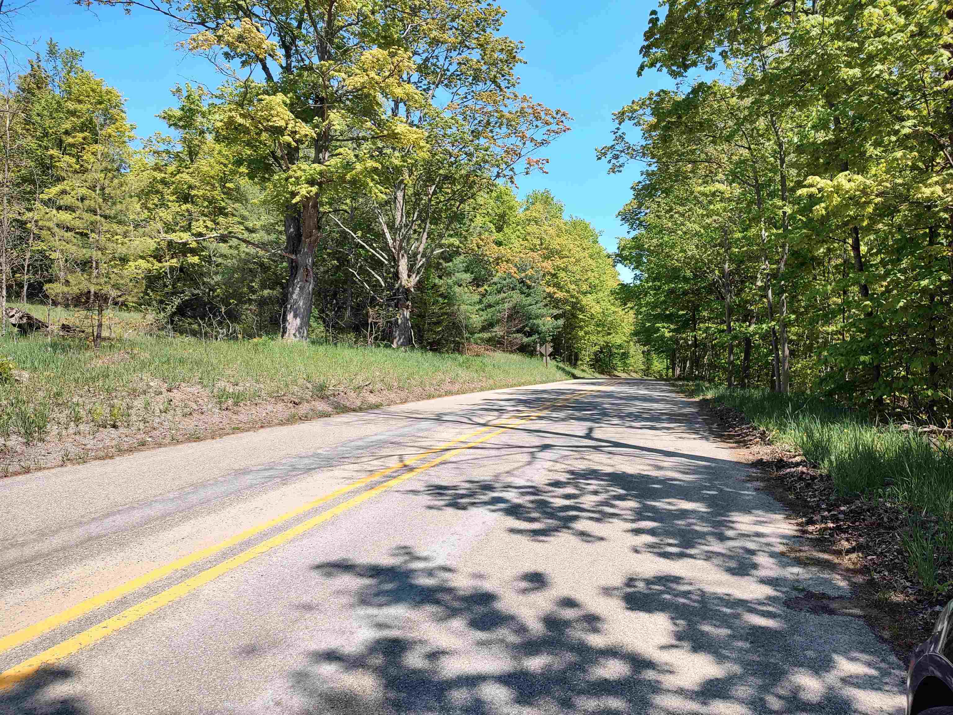 40-acres East Darga Road Cedar, MI 49621 - Photo 3 of 8