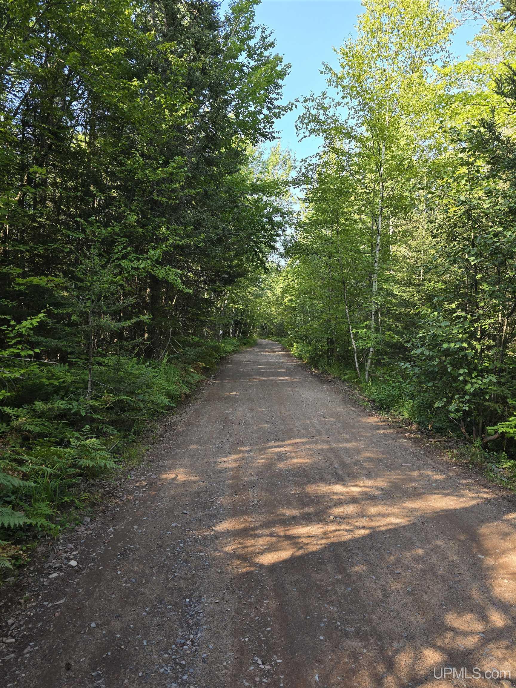 Tbd Lake Superior Point Road Deerton, MI 49822 - Photo 8 of 9