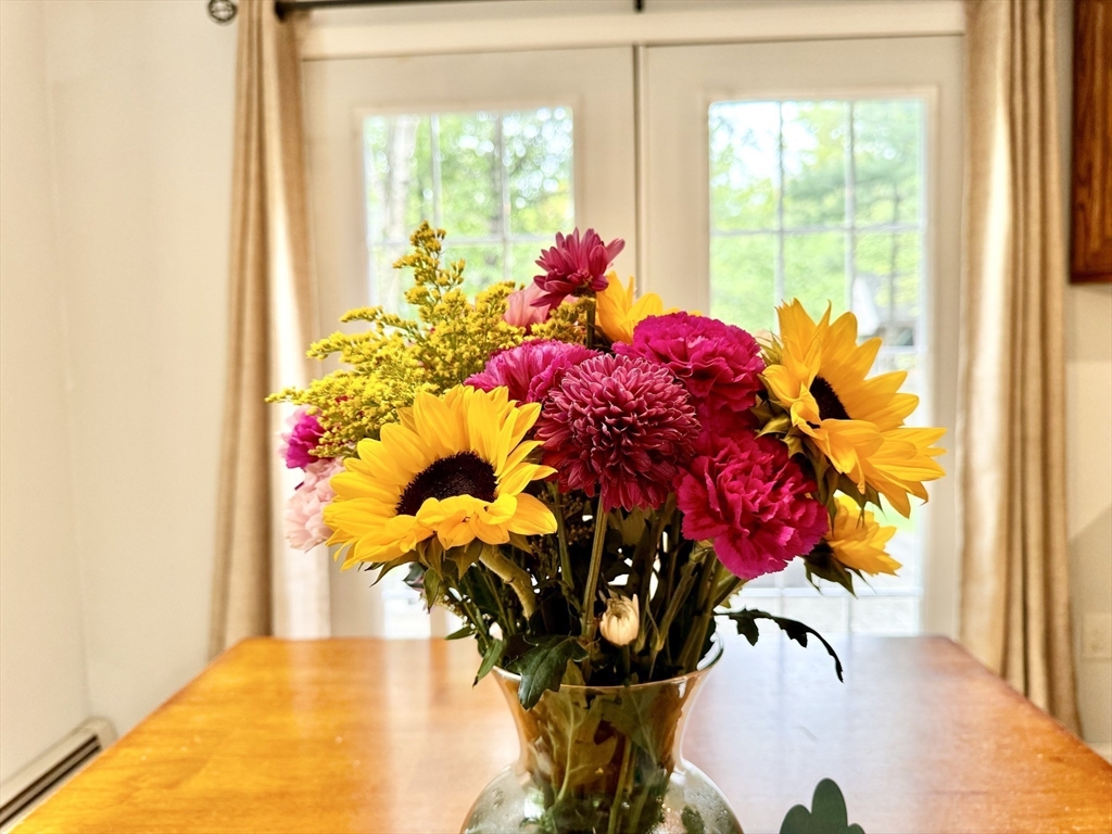 29 Whitewood Road Groton, MA 01450 - Photo 11 of 38 a view of a flower pot