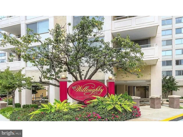 a view of a house with potted plants