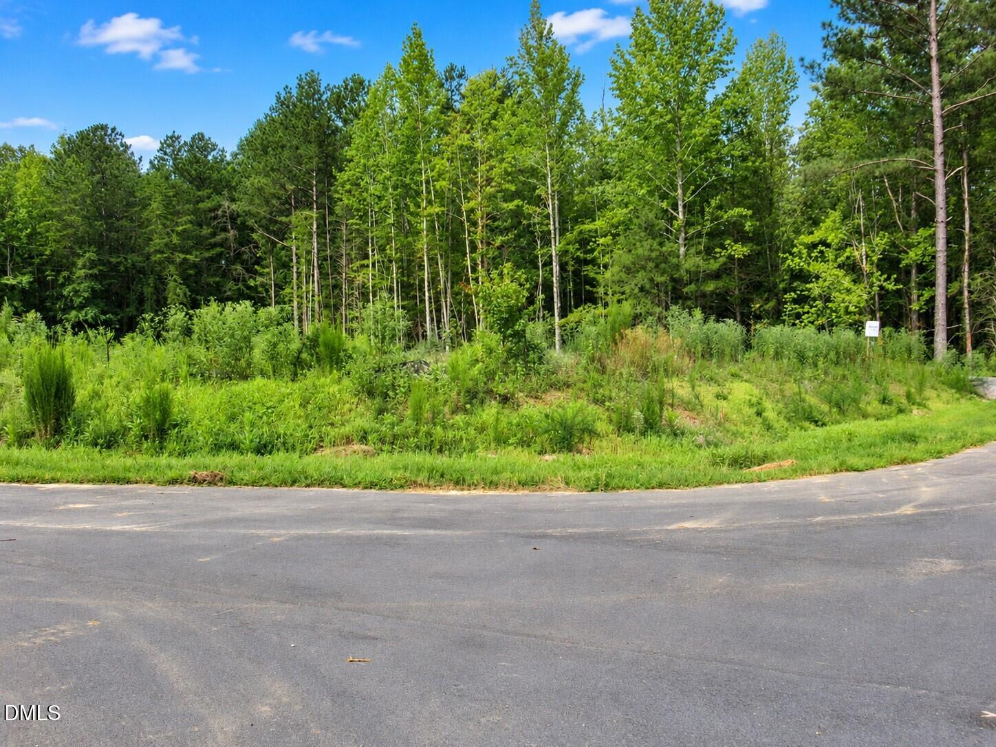 4447 Poppy Mallow Lane Rougemont, NC 27572 - Photo 6 of 7 Streets