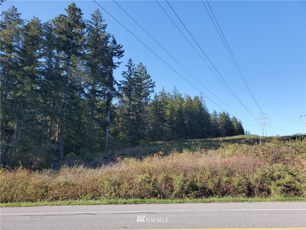 0 Center Road Quilcene, WA 98376 - Photo 1 of 4 a view of a lake view