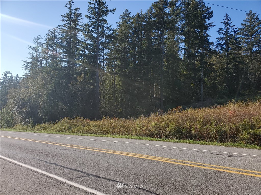 0 Center Road Quilcene, WA 98376 - Photo 2 of 4 a view of a yard with a tree