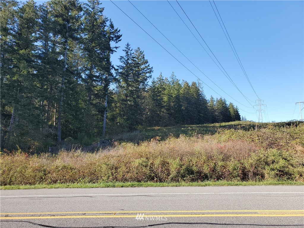 0 Center Road Quilcene, WA 98376 - Photo 3 of 4 a view of a lake from a yard
