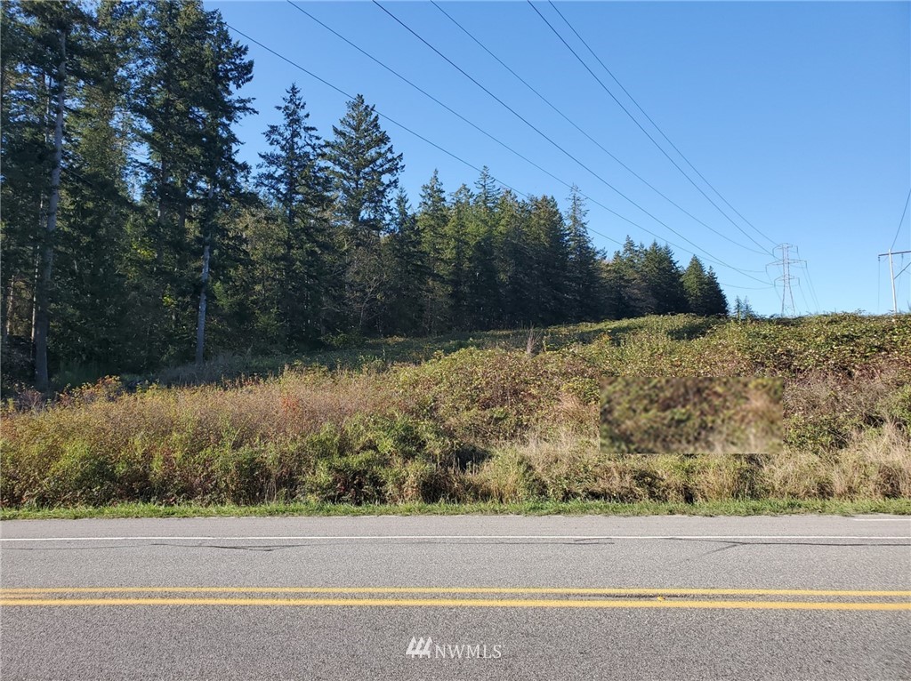 0 Center Road Quilcene, WA 98376 - Photo 4 of 4 a view of a yard