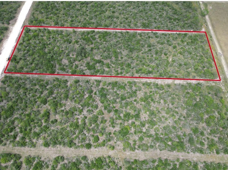 a view of a yard with an outdoor space