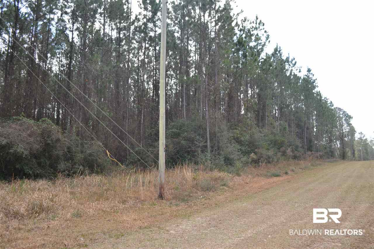 0 Mohr Lane Elberta, AL 36530 - Photo 5 of 15