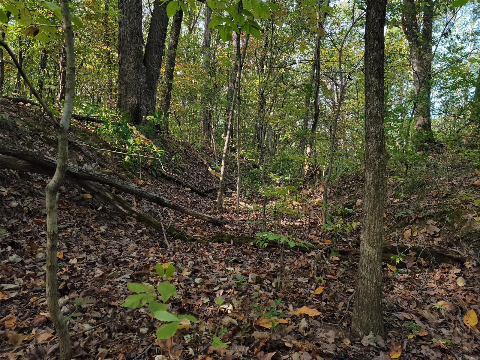 0 Off Of Behme Road Carlinville, IL 62626 - Photo 5 of 8 Gallery Image 5