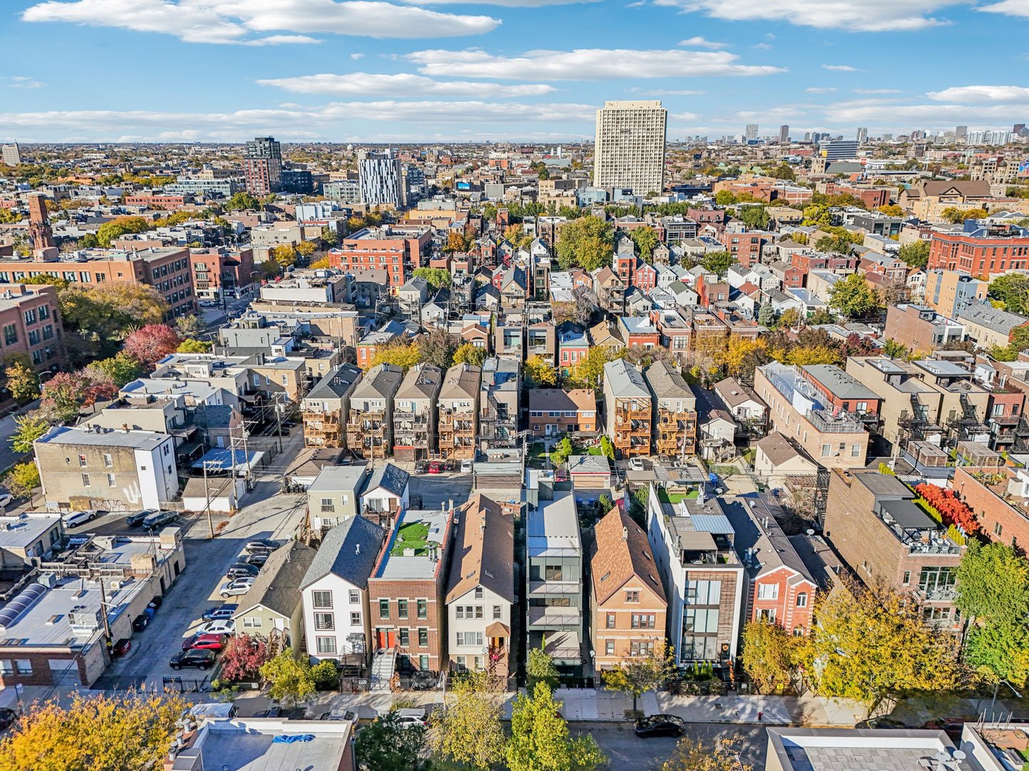 1536 West Chestnut Street, Unit B Chicago, IL 60642 - Photo 47 of 50