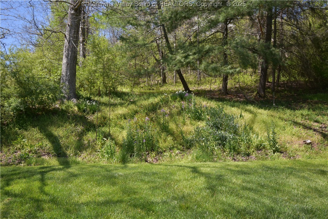 6 Coast Run Road Sandyville, WV 25275 - Photo 14 of 36 Gallery Image 14