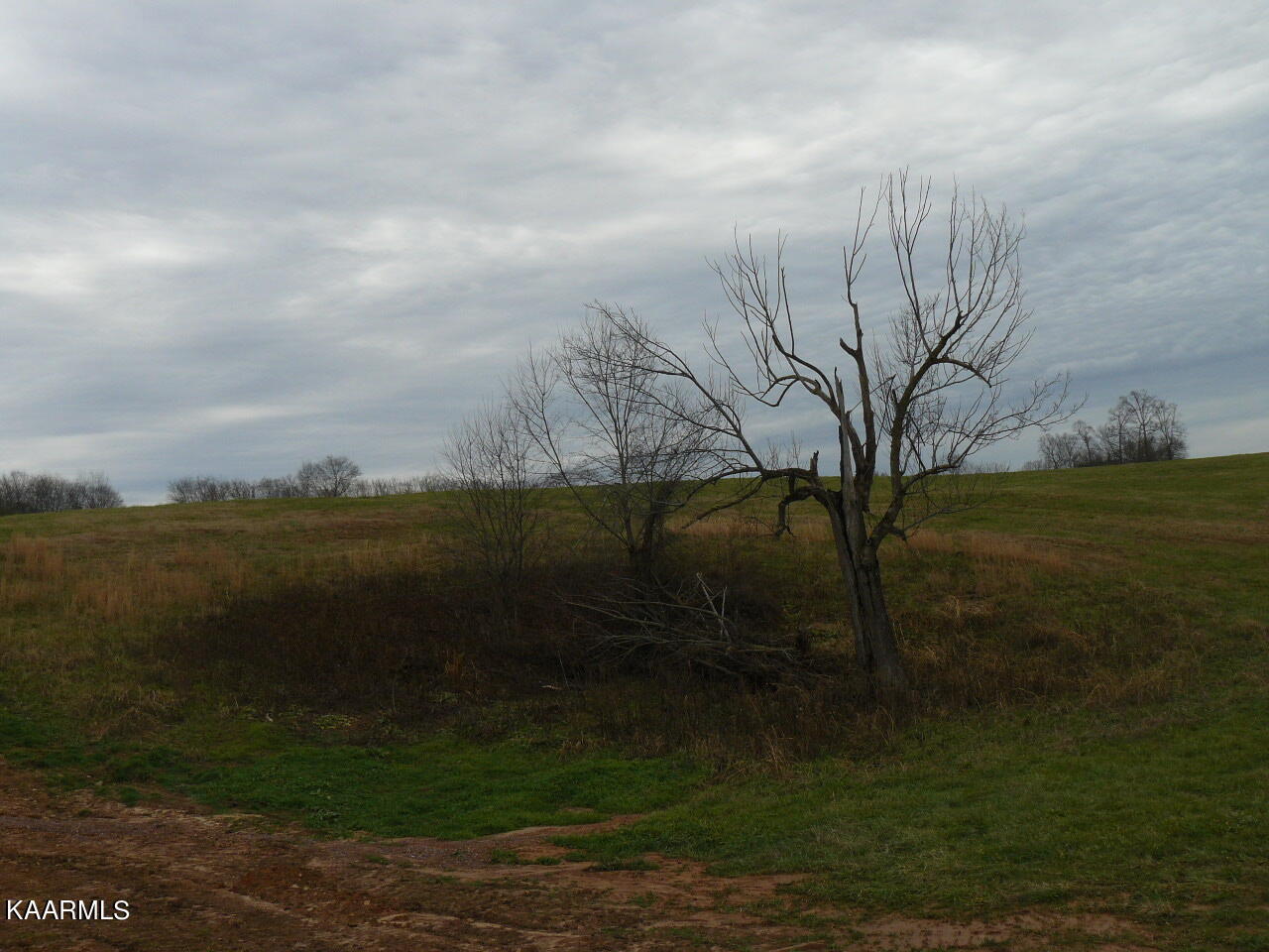 Lot 7 Schertz Lane Rutledge, TN 37861 - Photo 3 of 3 P1420078