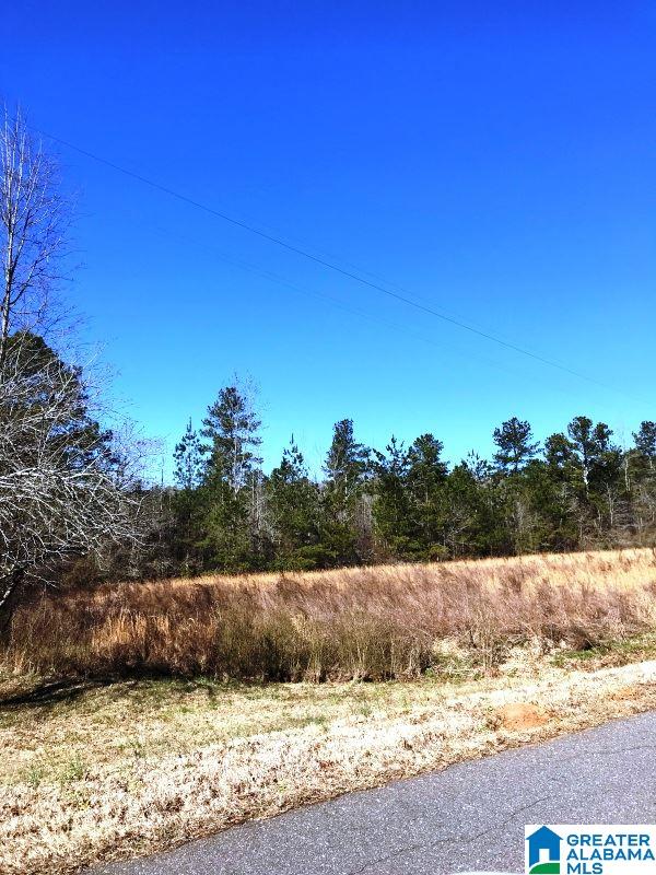 0 Highland Road, Unit 20 5 ACRES Lineville, AL 36266 - Photo 2 of 5