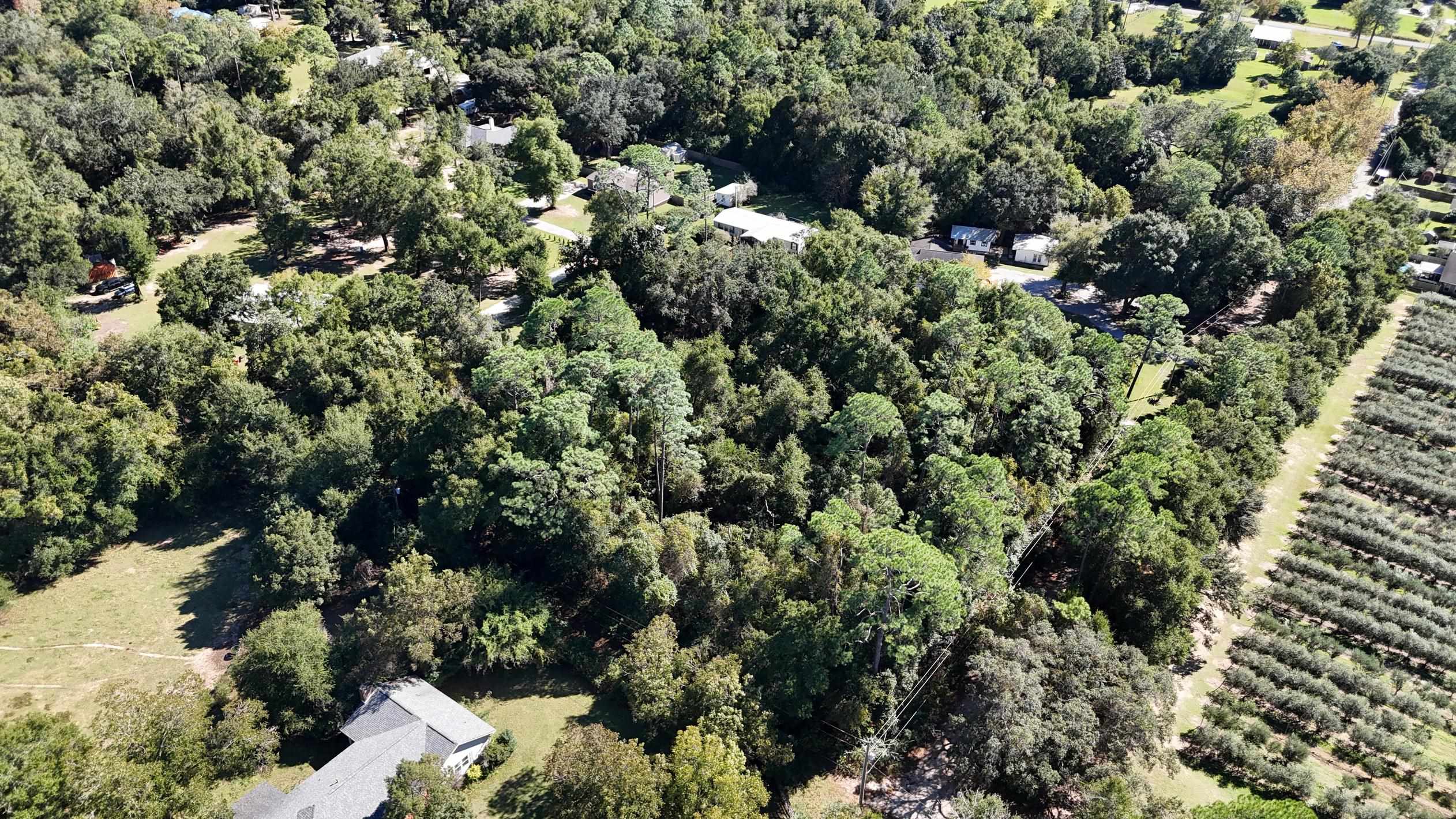 0 Perdido Street Lillian, AL 36549 - Photo 6 of 18 Aerial View