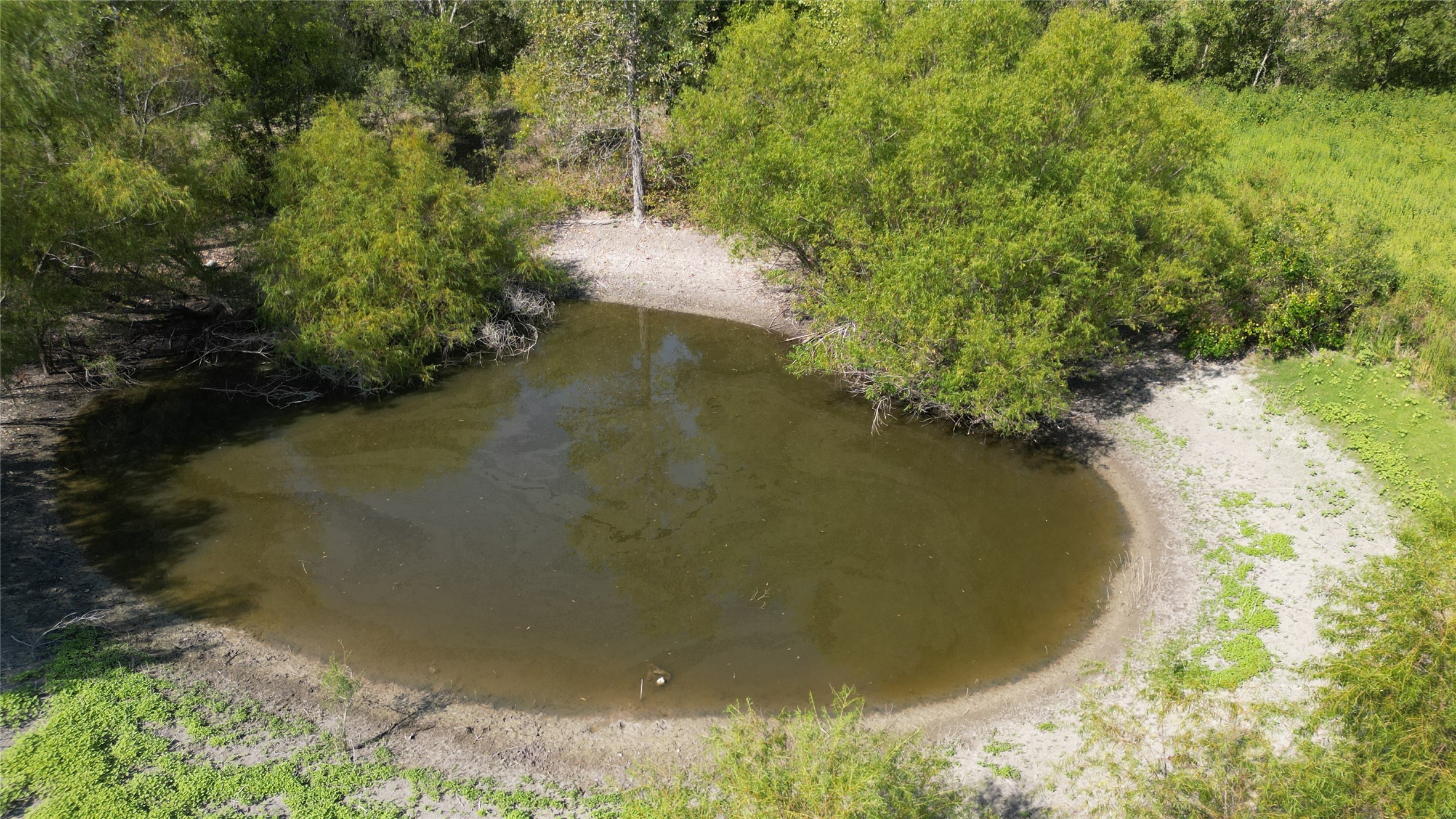 1012 East Fm 93 Road Temple, TX 76502 - Photo 34 of 40