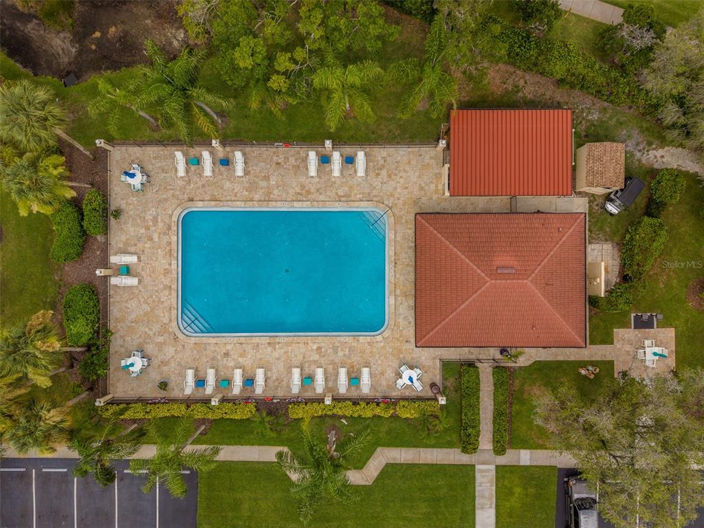 1801 East Lake Road South, Unit 20G Palm Harbor, FL 34685 - Photo 50 of 51