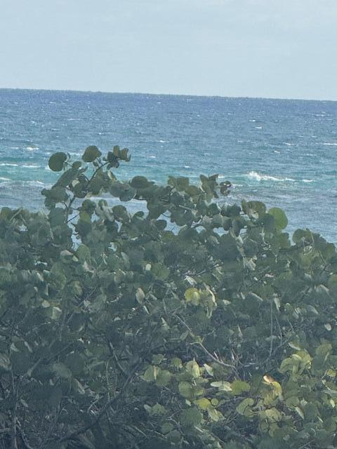 1180 South Ocean Boulevard, Unit 2E Boca Raton, FL 33432 - Photo 54 of 58 IMG_2791