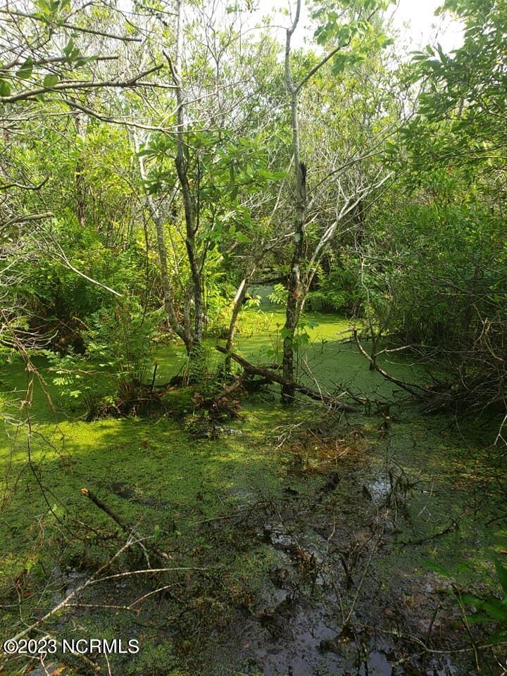 377 Sailboat Road Shiloh, NC 27974 - Photo 3 of 5 pond