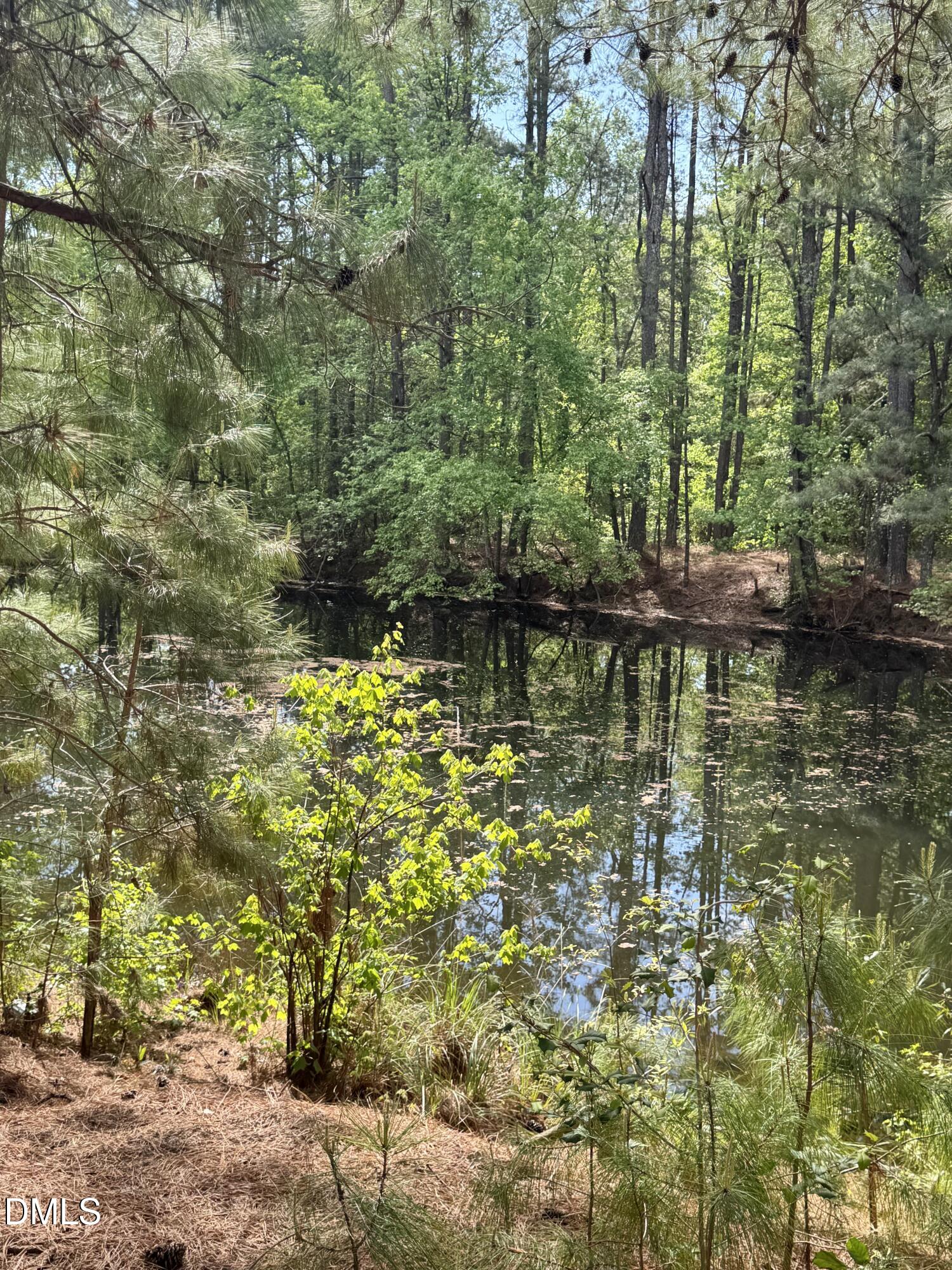 640 Tart Town Road Dunn, NC 28334 - Photo 68 of 71 Pond 1