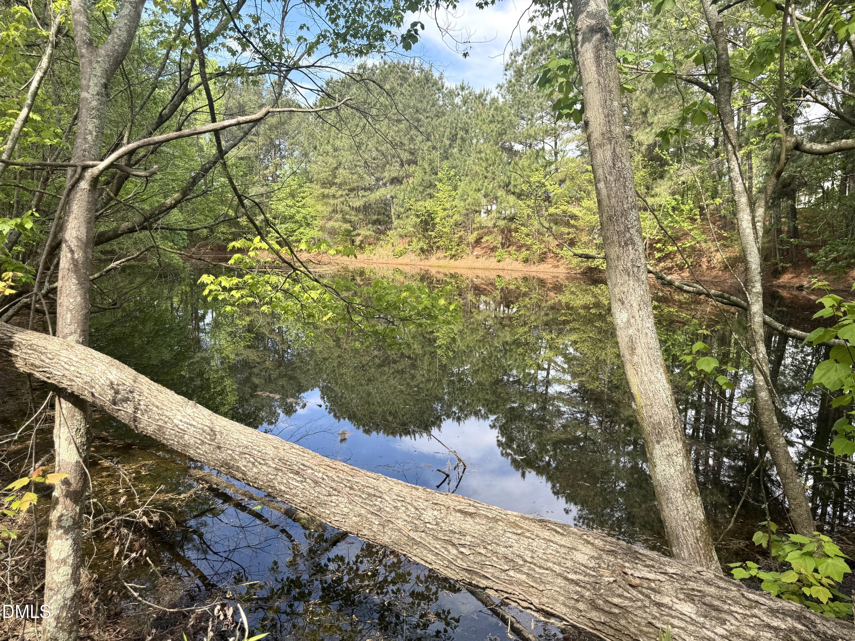 640 Tart Town Road Dunn, NC 28334 - Photo 69 of 71 Pond 2