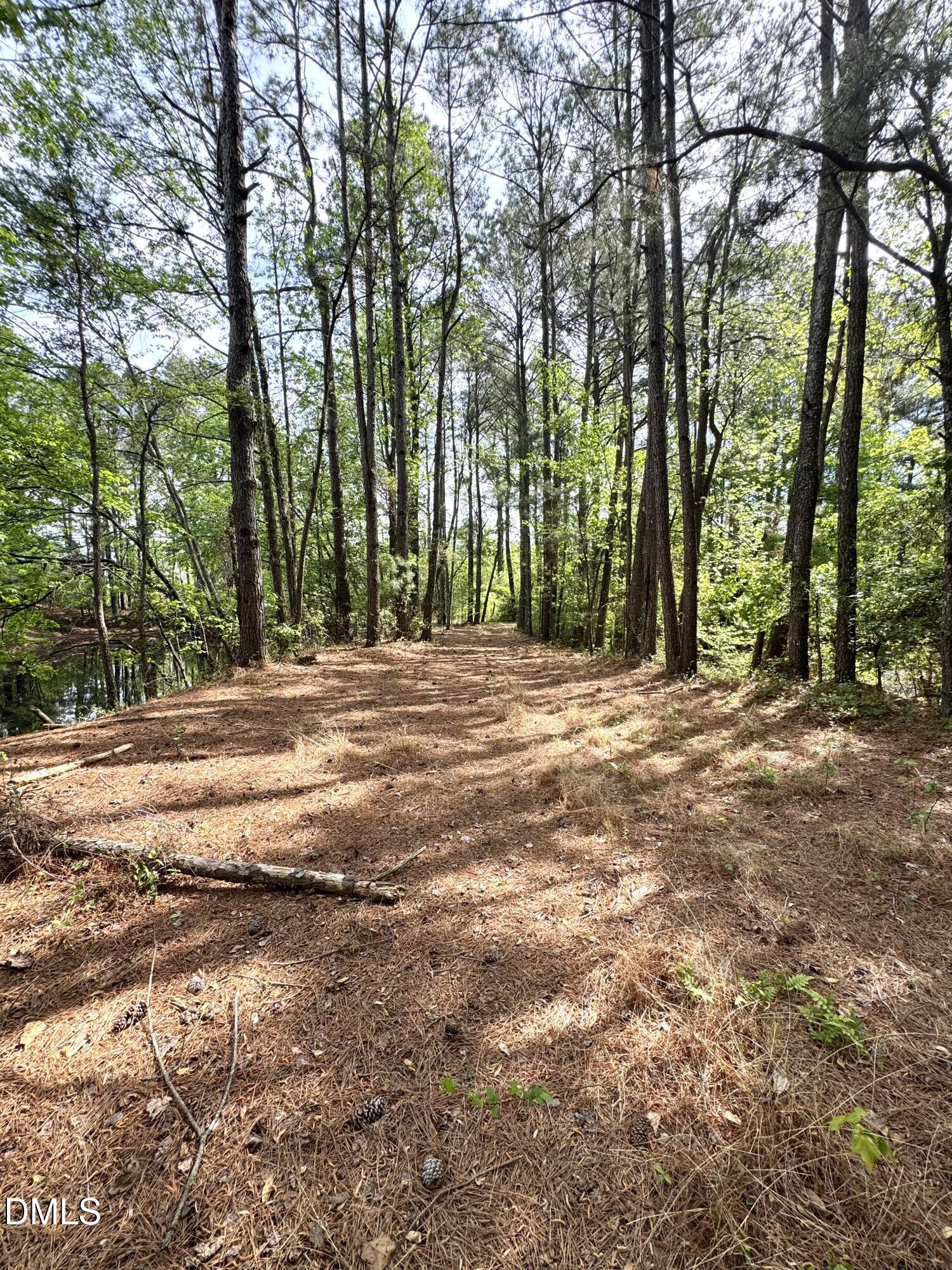 640 Tart Town Road Dunn, NC 28334 - Photo 71 of 71 Pond area