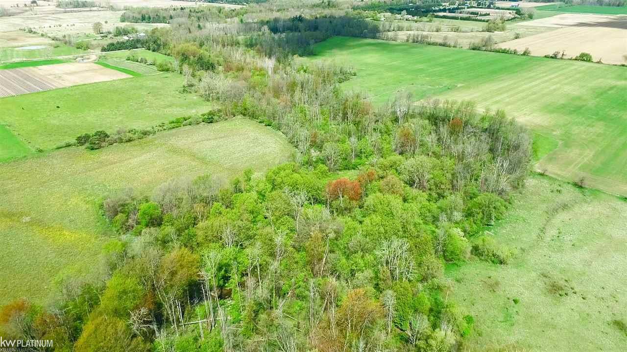 0 Rescue Road Owendale, MI 48754 - Photo 12 of 20