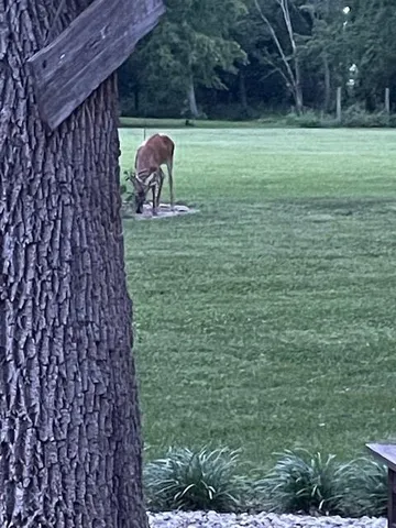 $700,000 | 7540 West 197th Street, Stilwell, KS 66085