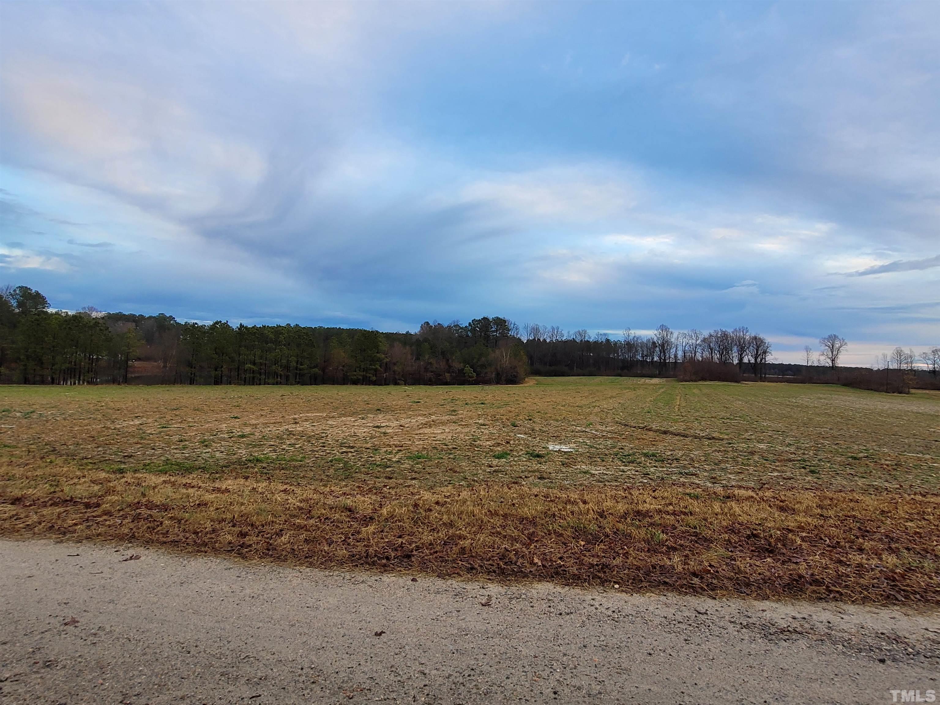 0 Hight Road Louisburg, NC 27549 - Photo 3 of 4 Gallery Image 3
