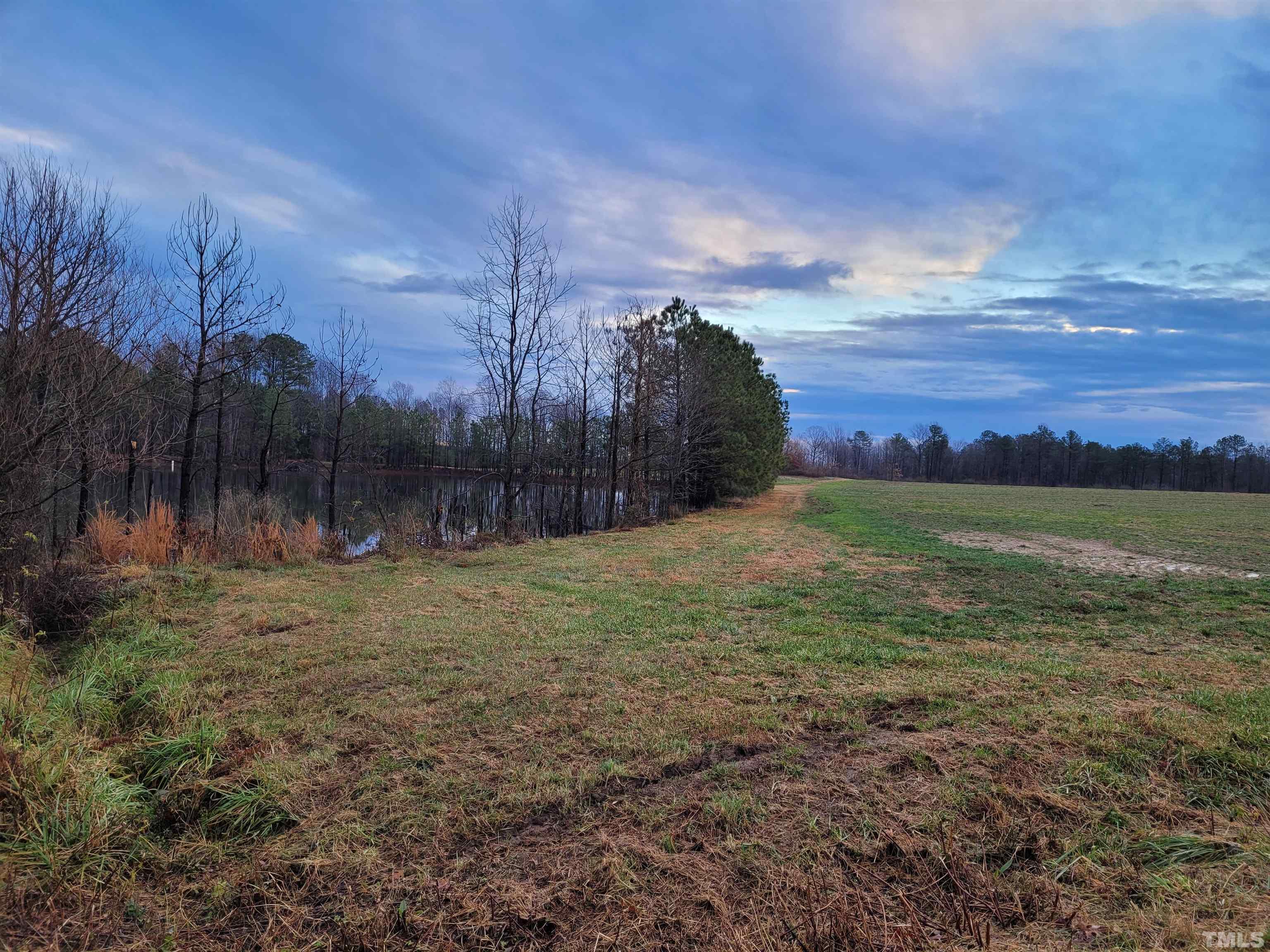 0 Hight Road Louisburg, NC 27549 - Photo 4 of 4 Gallery Image 4