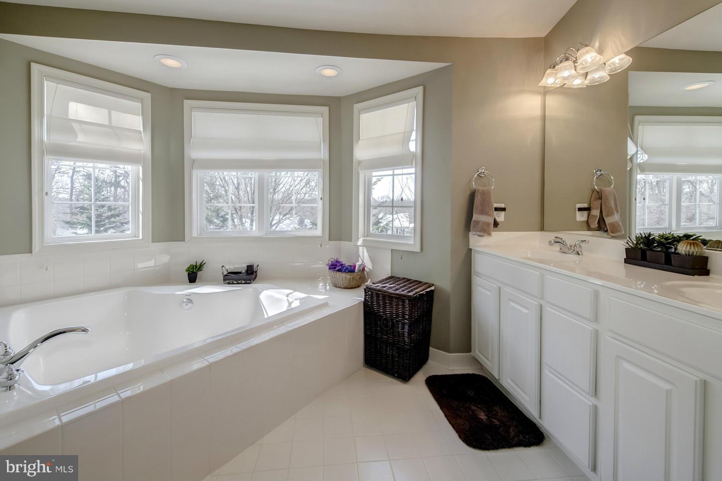 7372 Stream Bluff Way Springfield, VA 22153 - Photo 22 of 30 Bath (Master)