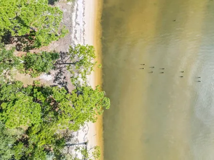 $1,225,000 | 2208 Bay Grove Road, Freeport, FL 32439
