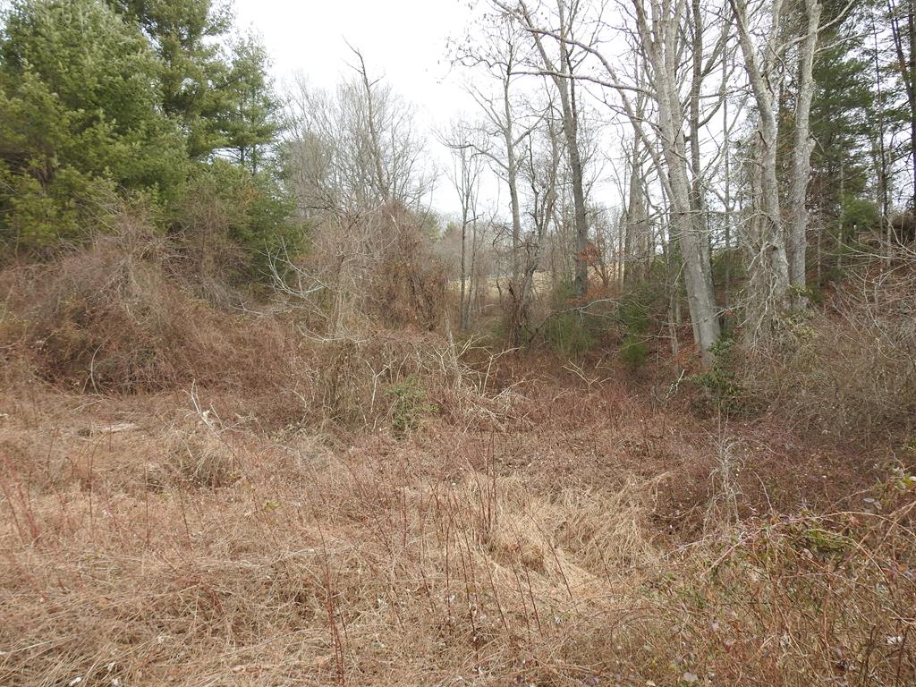 Tbd Tbd Stable Road Hillsville, VA 24343 - Photo 1 of 6 Gallery Image 1