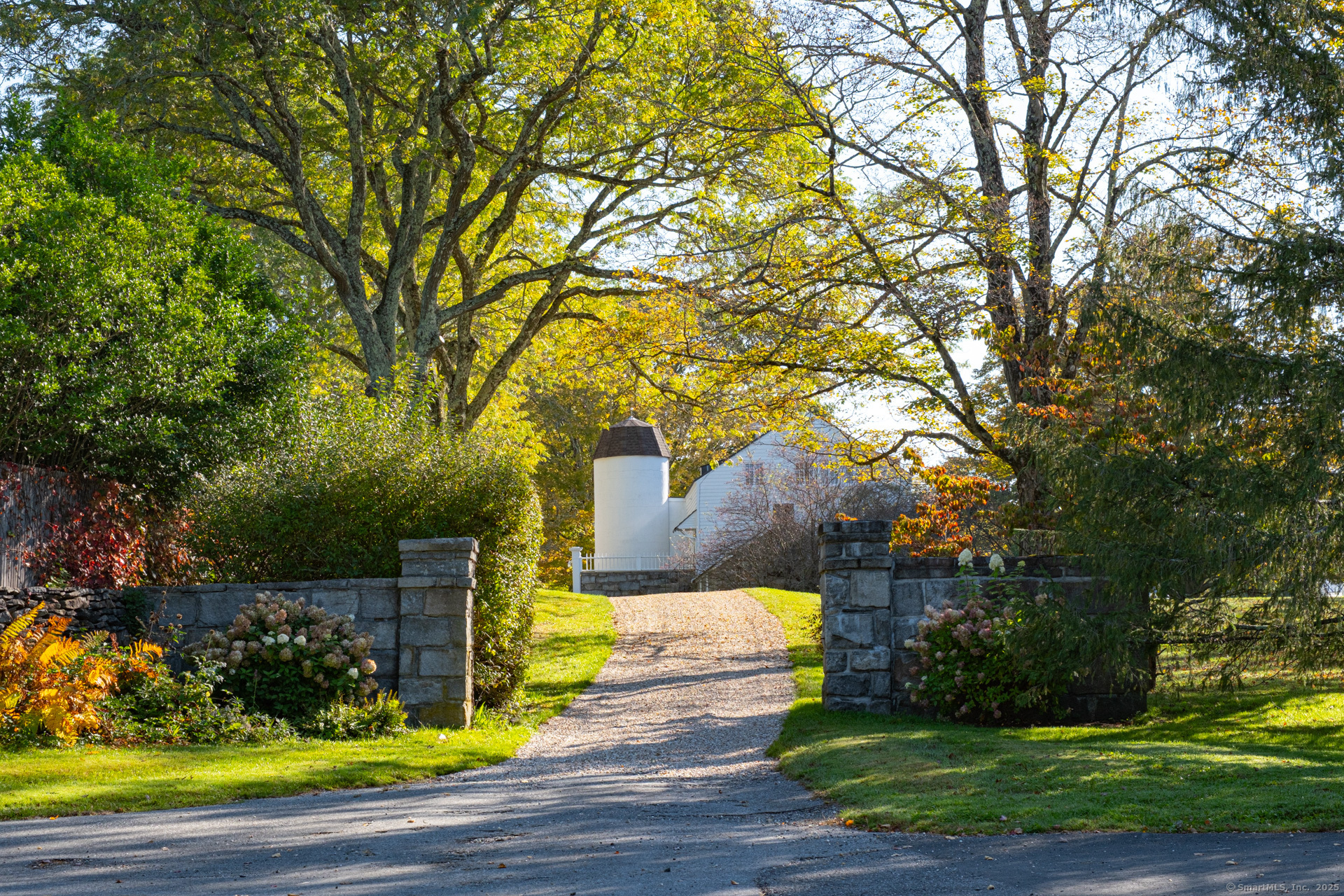 102 Melius Road Warren, CT 06754 - Photo 3 of 39 a view of a yard with plants and trees