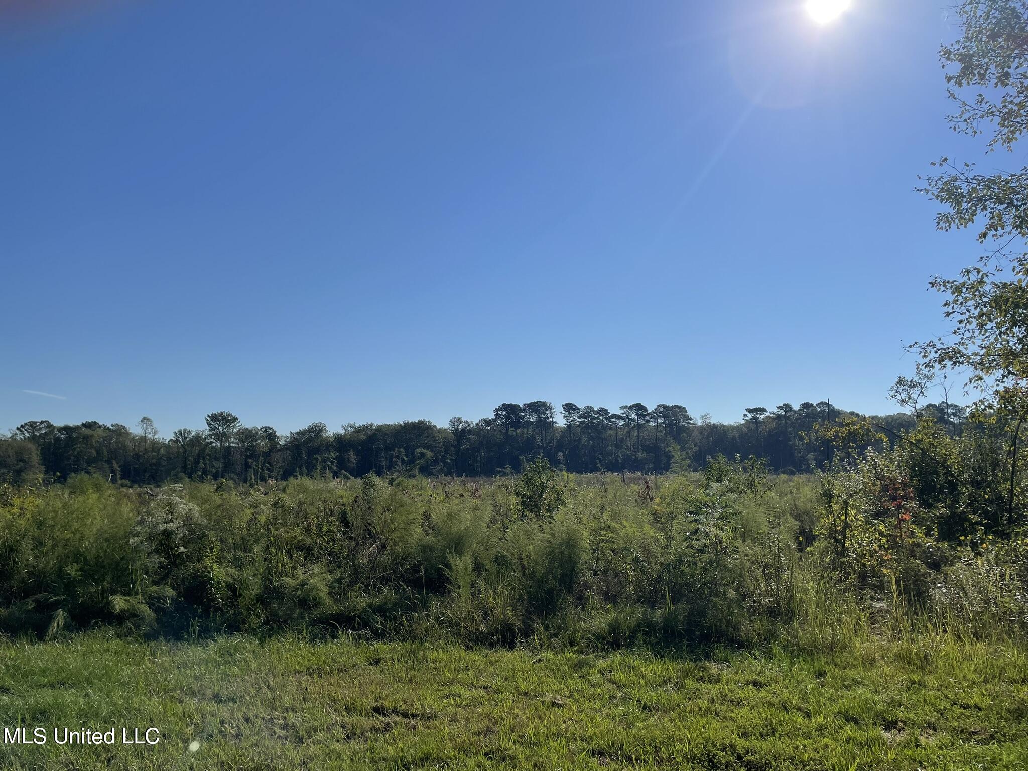 Ms-397 Louisville, MS 39339 - Photo 4 of 8 IMG_0811