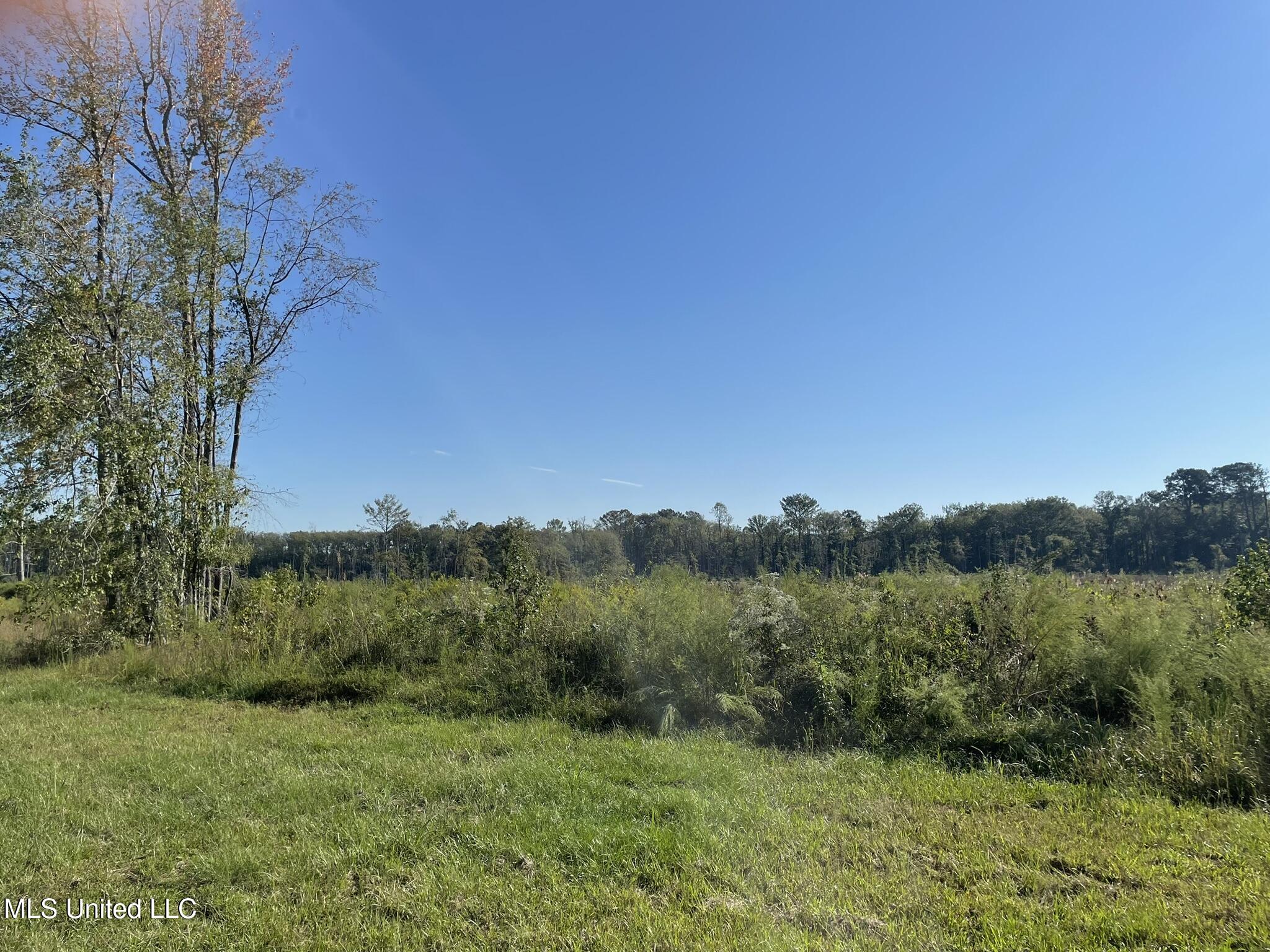 Ms-397 Louisville, MS 39339 - Photo 5 of 8 IMG_0812