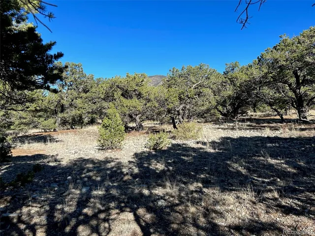 $65,000 | 3 Mill Run Road, Mosca, CO 81146
