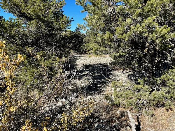 $65,000 | 3 Mill Run Road, Mosca, CO 81146