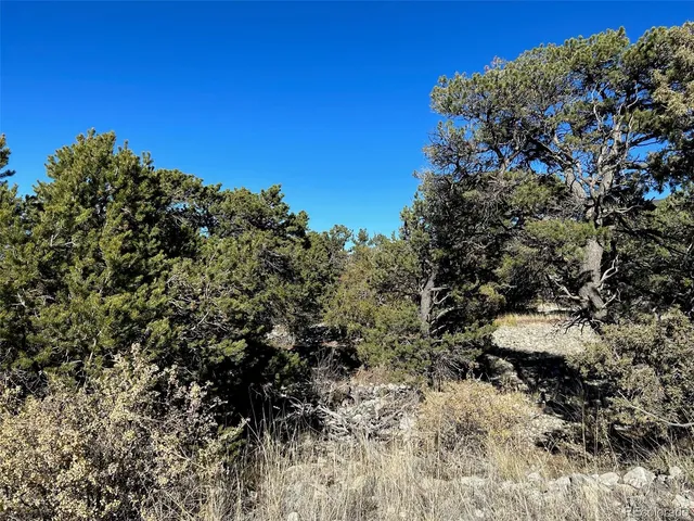 $65,000 | 3 Mill Run Road, Mosca, CO 81146