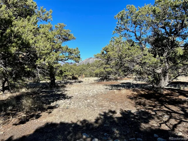 $65,000 | 3 Mill Run Road, Mosca, CO 81146