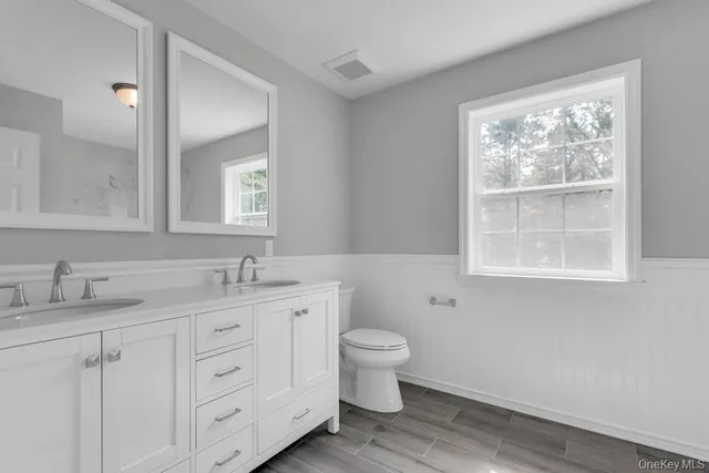 a bathroom with a sink toilet and vanity