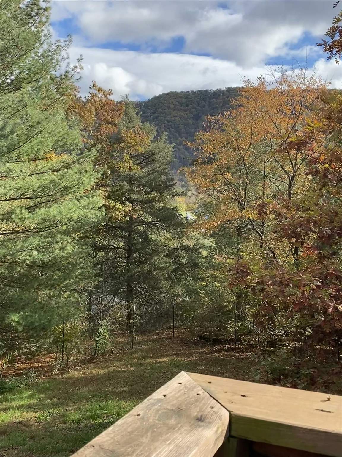 9820 Brocks Gap Road Fulks Run, VA 22830 - Photo 3 of 24 Gallery Image 3