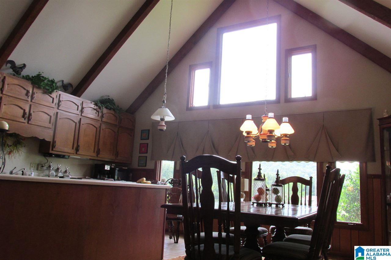 1240 Covered Bridge Circle Oneonta, AL 35121 - Photo 5 of 23