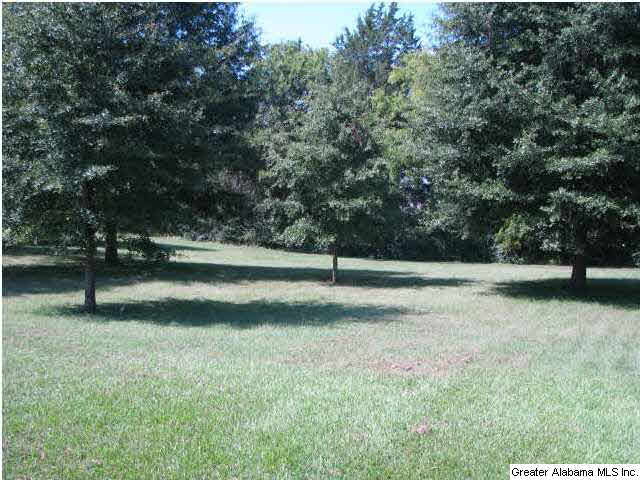 5665 Smokey Road Calera, AL 35040 - Photo 4 of 7