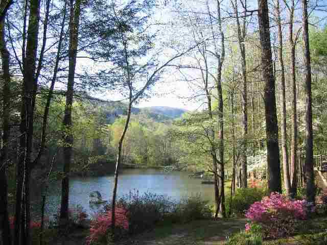 249 Pinnacle Lake Road, Unit NEAR Marietta, SC 29661 - Photo 2 of 11 Gallery Image 2